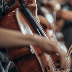 student playing string intrument
